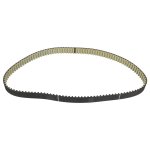 Febi Bilstein Timing Belt 100170