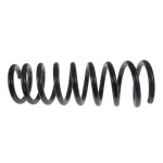 Blueprint Coil Spring ADJ1388025