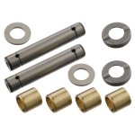 Febi Bilstein King Pin Set 01153