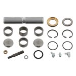 Febi Bilstein King Pin Set 02170