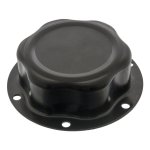 Febi Bilstein Hub Cap 02296