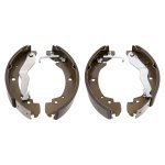 Febi Bilstein Brake Shoe Set 02910