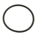 Febi Bilstein Sealing Ring 04319