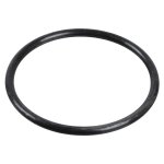 Febi Bilstein O-Ring 04948