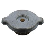 Febi Bilstein Radiator Cap 05420