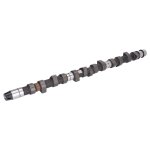 Febi Bilstein Camshaft 05519