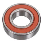 Febi Bilstein Ball Bearing 09841