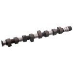 Febi Bilstein Camshaft 10009