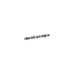 Febi Bilstein Camshaft 10011