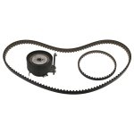 Febi Bilstein Timing Belt Kit 100325