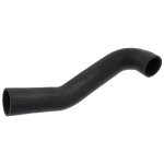 Febi Bilstein Coolant Hose 101421