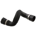 Febi Bilstein Coolant Hose 103702