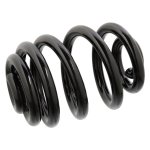 Febi Bilstein Coil Spring 104702