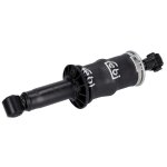 Febi Bilstein Cabin Shock Absorber 106672