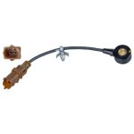 Febi Bilstein Knock Sensor 106793