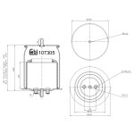 Febi Bilstein Air Spring 107305