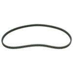 Febi Bilstein Timing Belt 10974