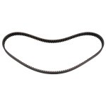 Febi Bilstein Timing Belt 11002