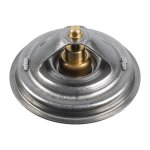 Febi Bilstein Thermostat 171129