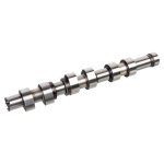 Febi Bilstein Camshaft 172023