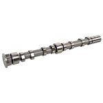 Febi Bilstein Camshaft 176003