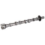 Febi Bilstein Camshaft 178955