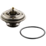 Febi Bilstein Thermostat 18294