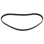 Febi Bilstein Timing Belt 19364