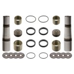 Febi Bilstein King Pin Set 29730