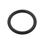 Febi Bilstein O-Ring 32979