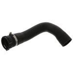 Febi Bilstein Coolant Hose 46243