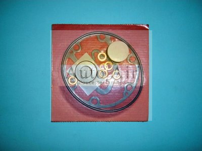Coolzone 6P127 Shaft Seal