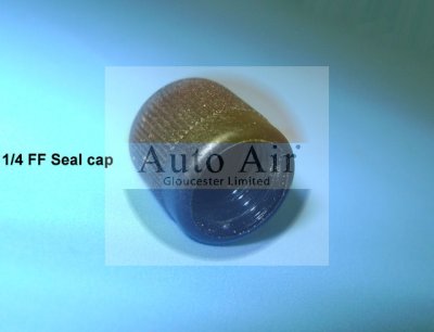 Coolzone 1/4 Ff Seal Cap Plastic