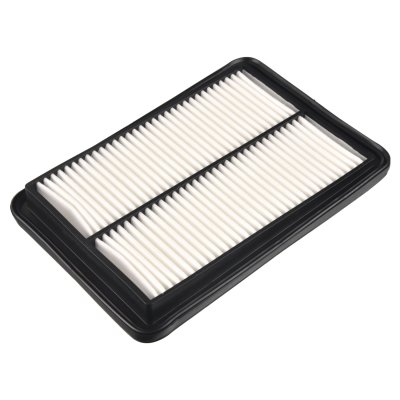 Blueprint Air Filter ADBP220020