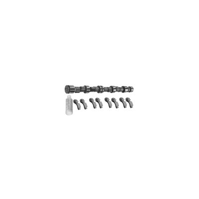 Febi Bilstein Camshaft Kit 02995