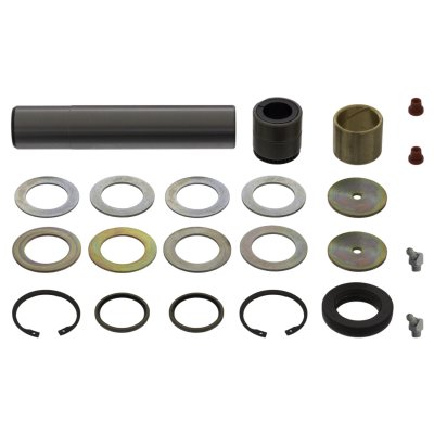 Febi Bilstein King Pin Set 14573