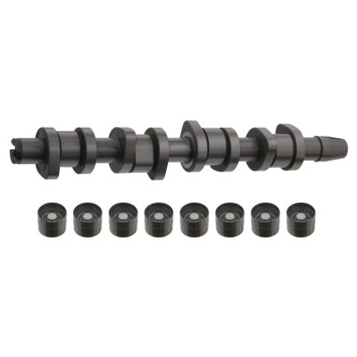 Febi Bilstein Camshaft Kit 33195