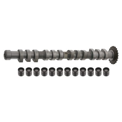 Febi Bilstein Camshaft Kit 33198