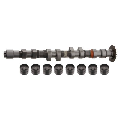 Febi Bilstein Camshaft Kit 33199