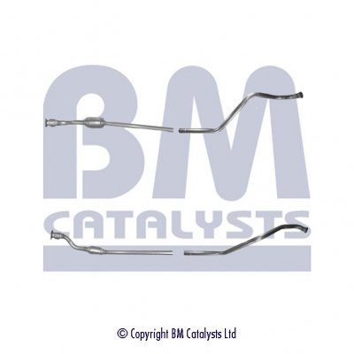 BM Cats Diesel Cat TA Euro 3 BM80169H
